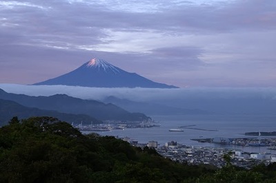 富士山、世界遺産10年！四季折々の表情を静岡各地から切り取りました【フォトコレクション】