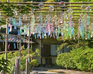 約200個の風鈴が涼やかに彩る！藤枝市「玉露の里」に“映えスポット”が登場！