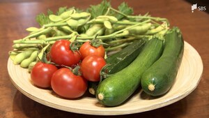 「仕入れが難しい」嘆き節も…猛暑で野菜の質や量が不安定に　オクラは硬く 葉物は細いのに高騰