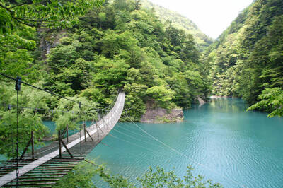 静岡県内、“夏”にこそおすすめのフォトジェニックなスポットまとめ！カメラを持って出かけよう