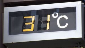 「異常だよね」静岡市の真夏日の日数「71日」に　1940年の観測開始以来過去最多更新　記録的暑さ続く