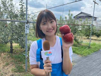 旬の味覚を求めて！影島アナが島田の「ひろみちゃんのりんご園」に行ってきました！