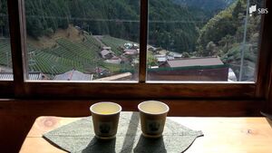 のどかな風景に癒やされる「天空茶屋」 山あいの茶工場を改装　大学生がオープン＝静岡市葵区
