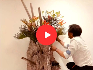 【貴重映像】生け花の作品はどうやって作っているの？松坂屋静岡店で開催中「静岡県華道展」の生け込み現場に潜入してみた！