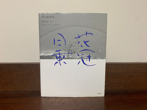 【野村喜和夫さんの詩・エッセー集「花冠日乗」】 都市の静けさが伝わる