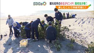 「広い砂浜、砂丘を見たい」“壊滅的”中田島砂丘を救え　高校生が放置枝の堆砂垣で浸食を防ぐ【SDGs】