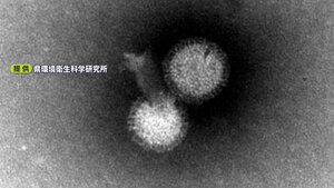 「今年は季節性でなく通年性」インフルエンザの流行“警報レベル”に　コロナ禍で免疫持っていない子どもが増加か=静岡県