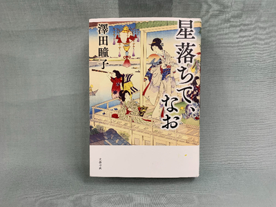 【澤田瞳子さんの「星落ちて、なお」】 狩野家と河鍋家