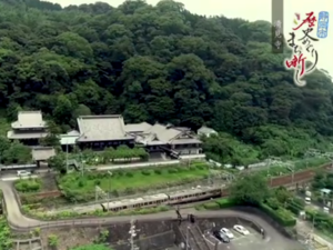 清見寺と徳川家康のお噺し