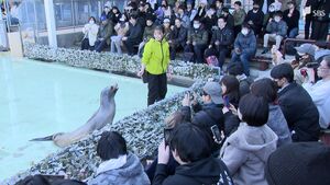 「みんな思い入れがあるから駆け付けた」閉園急きょ延長でラブライブ!“聖地”「あわしまマリンパーク」にファン殺到…渡し船乗船に3時間　