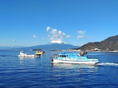 【あわしまマリンパークと淡島神社】 「ラブライブ！サンシャイン‼」ファンの謝辞