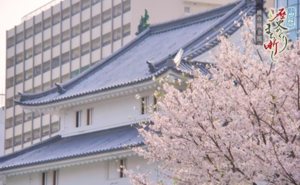 駿府城公園を訪ねる