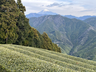 冬場におすすめ！低山と登山口周辺の温浴施設が楽しめるトレッキングコースをご紹介します【静岡県中部編】