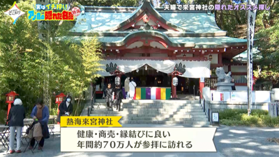 熱海のパワースポット！來宮神社（きのみや）で参拝者が気付かず素通りしがちな