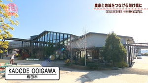 静岡県下最大級！緑茶・農業・観光の体験型フードパーク「KADODE OOIGAWA」／島田