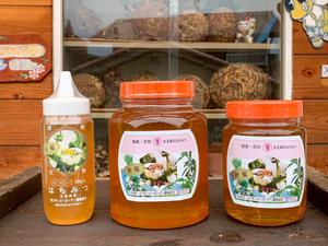  とろ〜り絶品はちみつが人気！鹿児島から北海道まで花を追い、本物の味を届ける「クヰンビーガーデン養蜂組合」が求人中!!／静岡