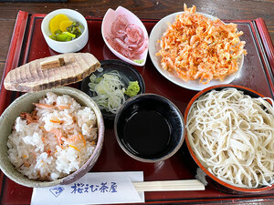 旬の桜えびを味わうならココ！お土産も買える【ゆい桜えび館】