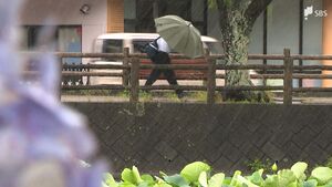 東海地方（静岡県）梅雨入り　平年より15日遅く、2023年より23日遅い【速報】
