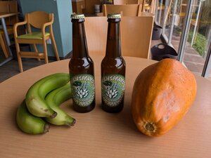 「相乗効果が生まれた驚きの一杯」国内初! 園内で栽培の「バナナ」×「パパイヤ」のクラフトビール販売開始＝静岡・熱川バナナワニ園