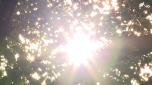 「サウナに入っているよう」静岡37.4℃危険な暑さ続く　熱中症疑い県内36人＝静岡県