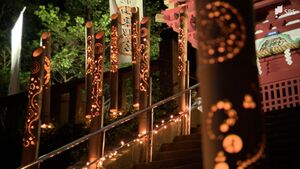 「夜の神社をなかなか見る機会ない」久能山東照宮で夜の特別拝観