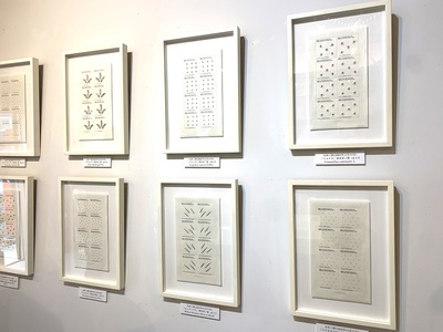 ​【りぶらりおの「太田三郎展」】 整然と並ぶ清水の「種」たち