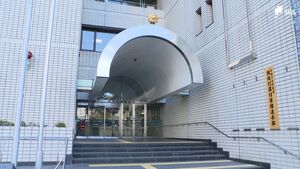 「妻とトラブルがあった」と夫が警察に相談　40代女性が夫に暴力か　傷害容疑で逮捕＝静岡中央署