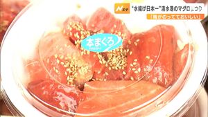 「脂がのっておいしい」マグロの水揚げ日本一の清水港周辺で「マグロまつり」開催＝静岡市