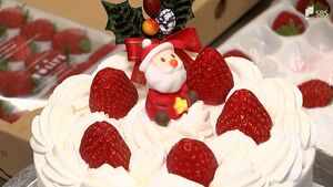 「高いですねやっぱり」クリスマスケーキ平均価格