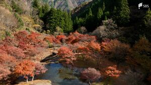 まだまだ紅葉見頃です 例年より2週間ほどゆっくり静岡・寸又峡を空から覗いてみた