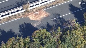 逆走で正面衝突1人死亡　過失運転致死と酒気帯び運転の疑いで24歳の男を逮捕　飲酒後に事故か　浜松市の国道1号バイパス