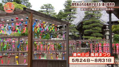 【遠州三山風鈴まつり】袋井の夏の風物詩。個性豊かな風鈴のやさしい音色がお出迎え