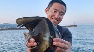 清水の海には魚が泳いでいる！釣り人に人気の清水は、どんな魚が釣れる？