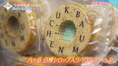 【ヤツドキテラス小海】シャトレーゼのプレミアムブランド「YATSUDOKI（ヤツドキ）」が買える！八ヶ岳らしいお土産を求めて／長野県南佐久郡小海町