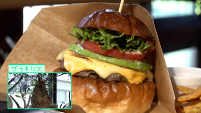 【REVERSE BURGER】肉汁たっぷりでジューシー！静岡にいながらメキシコ旅行気分が味わえるハンバーガー屋さん／静岡市
