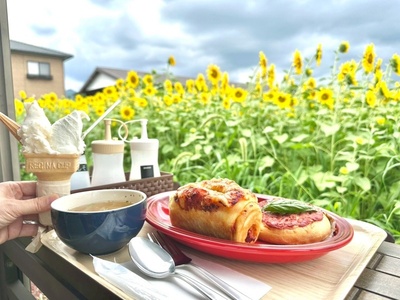 富士宮から朝霧高原へドライブ！牧場カフェ巡りで絶品ジェラートを堪能 & 癒やしの場所でサイクリングや森林浴を満喫