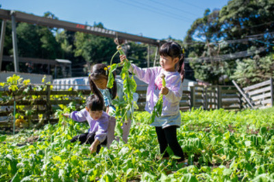 【SAIGO FARM（西郷ファーム）】驚きの入場無料で動物いっぱい！ 野菜収穫体験100円！餌やり0円！のふれあい牧場／掛川