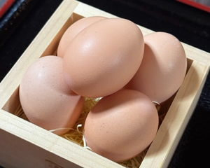 【うこっけい苑】お箸で黄身がつかめちゃう!?新鮮な卵を使ったグルメと絶品スイーツに癒やされる！／森町