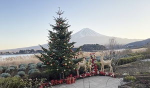 空気澄む冬こそ行きたい！富士山を独り占めする朝霧～河口湖絶景ドライブ！「もちもちコロッケ」や「激安市場」など買い物も満喫