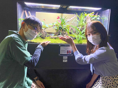 日本最大級の体感型カエル館！KawaZoo／河津町