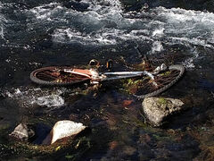 柿田川と狩野川の合流点付近に不法投棄されていた自転車（沼津河川国道事務所提供）