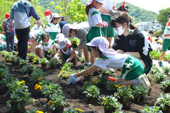 協力して花を植える児童ら＝沼津市民文化センター北側の「育みの広場」