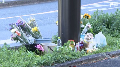 「妹との旅行やお出かけをまたしたい」浜松・小学生4人死傷事故 死亡した8歳女児の姉は"頭部への衝撃"避ける生活「大好きだったことができなくなった」