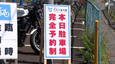 完全予約制の効果は…GW後半「日本平動物園」駐車場 “長年の課題”渋滞解消へ新たな取り組み=静岡市