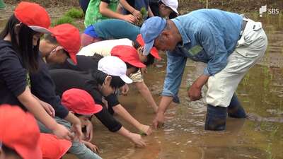 「お米の大切さ学んで」小学生が田植え体験 泥まみれになりながら1本1本、丁寧に＝静岡・下田市