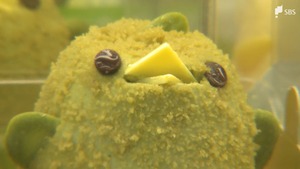 「緑茶ぴよりん」JR東海道線の島田駅で限定販売 市制20周年を記念してコラボ 名古屋などでも販売へ=静岡・島田市