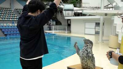 「サイン通りにやってくれてうれしかった」ゴマフアザラシと遊ぶトレーナー体験＝伊豆・三津シーパラダイス