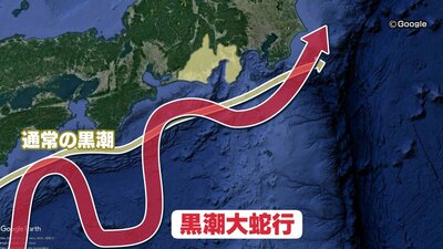 黒潮大蛇行は「漁業」だけでなく「気象」にも影響　高潮リスク・蒸し暑さ・雨の激しさも…終息で今後どうなる？
