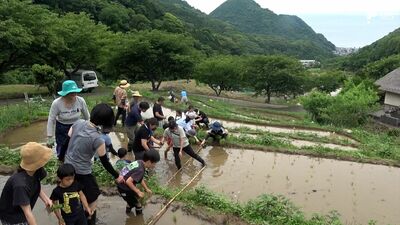 美しい風景みんなで守る...伊豆半島『石部棚田』で田植え祭 静岡県内初のオーナー制棚田