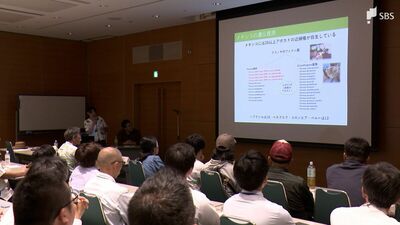 気候変動に対応 “森のバター”アボカド産地化へ 静岡県が新プロジェクトを始動